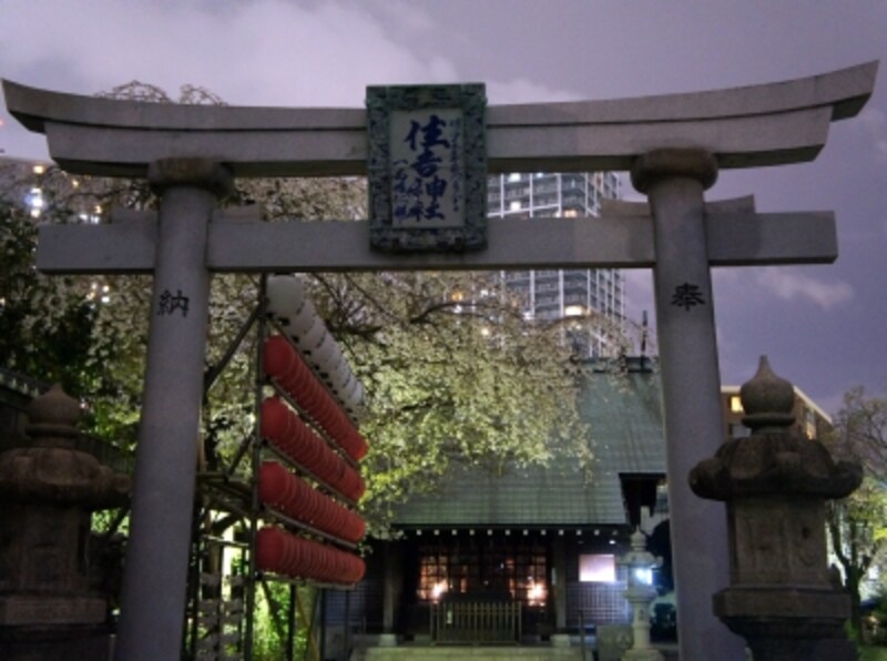 桜の季節の境内