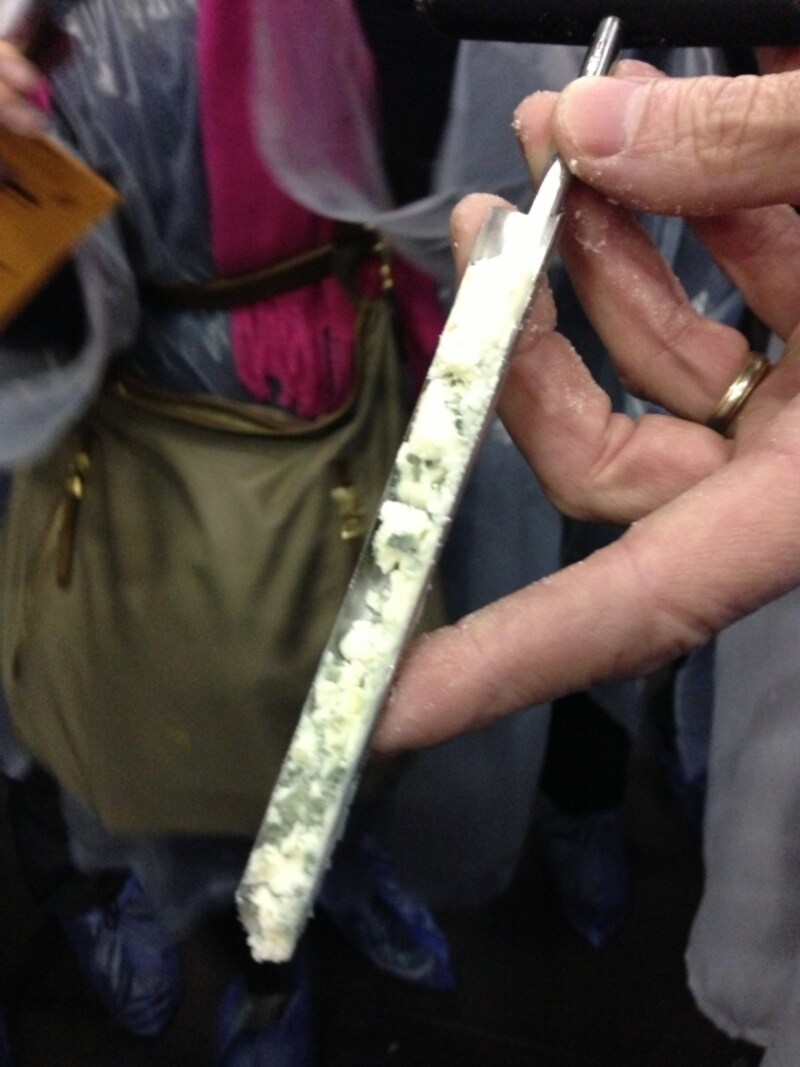 中を取り出して、カビの入り具合をチェックします。