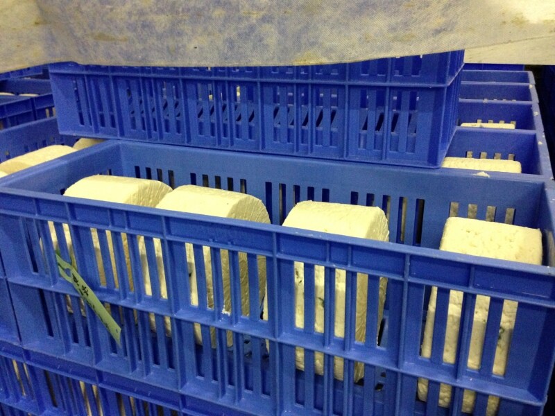 布をめくると、こんな風にチーズが並んでいます。
