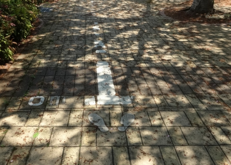 木漏れ日がいいかんじだ。