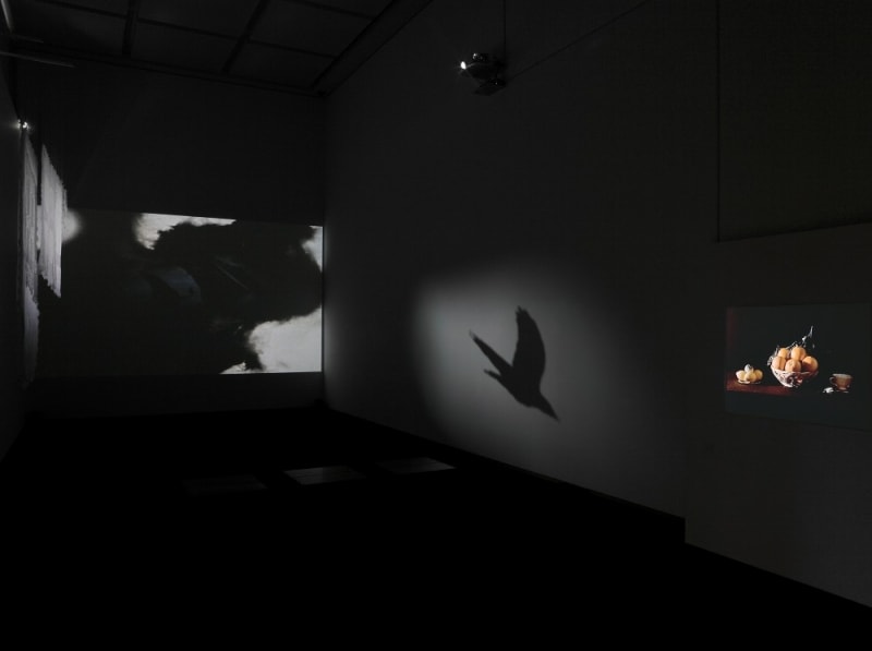 MOT Collection,  東京都現代美術館, 2011undefinedPhoto (C)椎木静寧