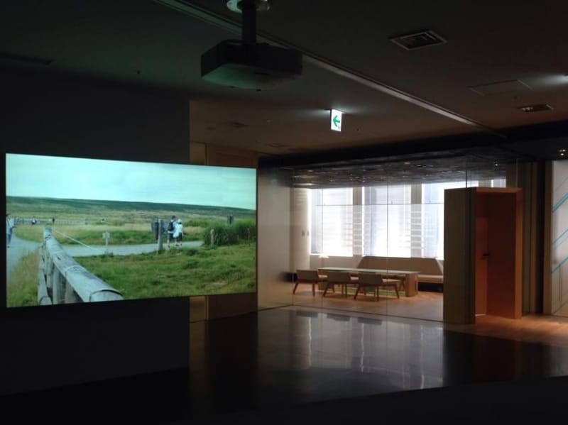 Cool Japan Fund Inc., 2013