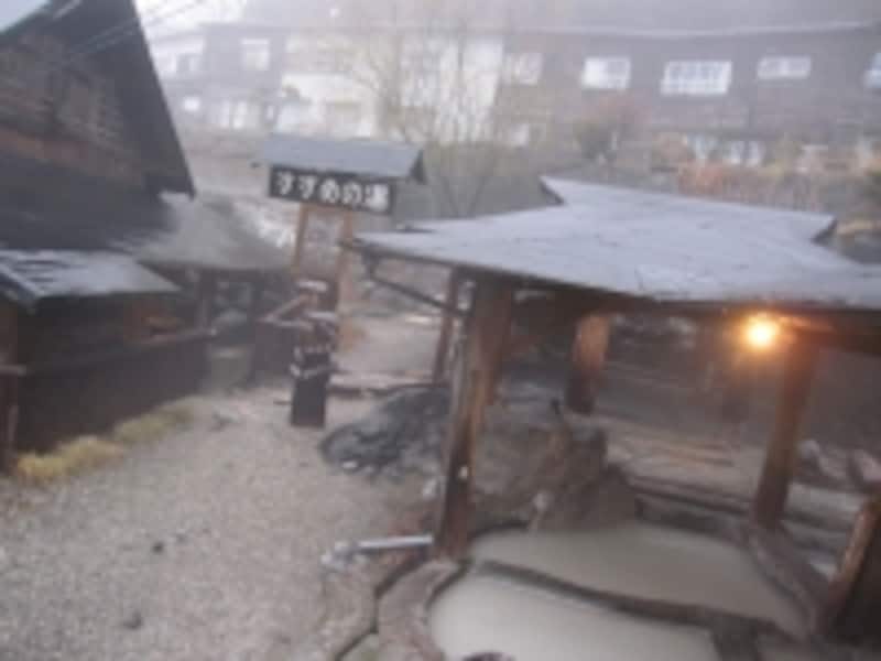 人気のすずめの湯