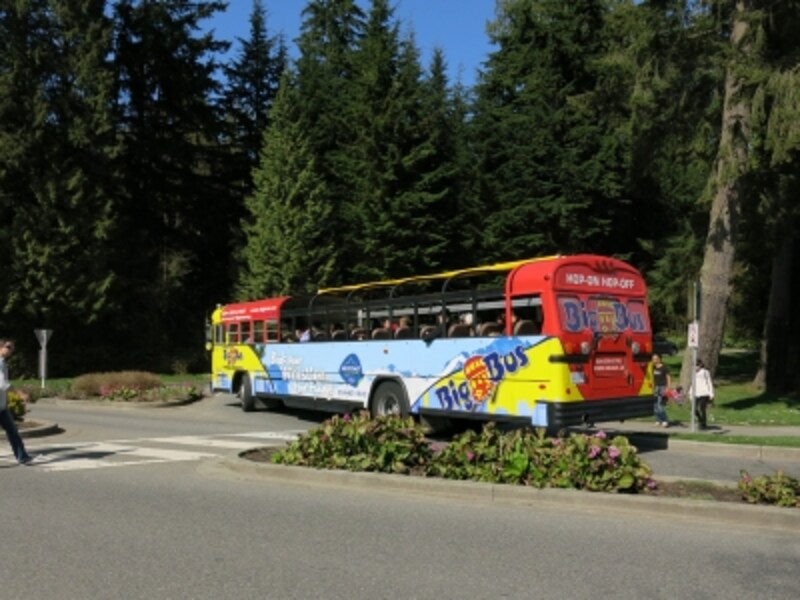 オープントップバスの外観。雨天にはキャンバス地の屋根を取り付けて運行
