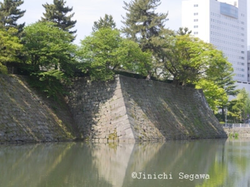 福井の龍馬