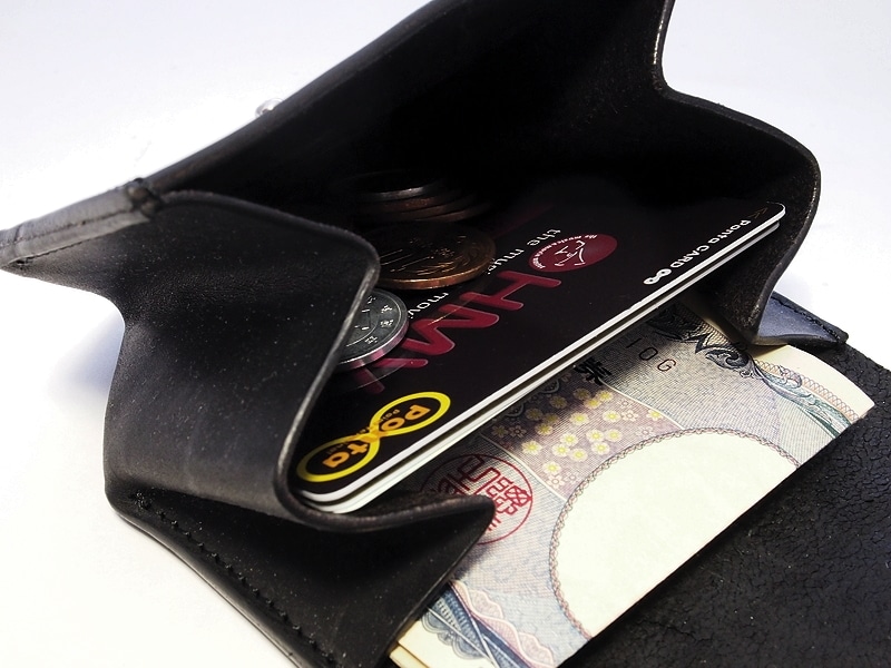 onepiecewallet06