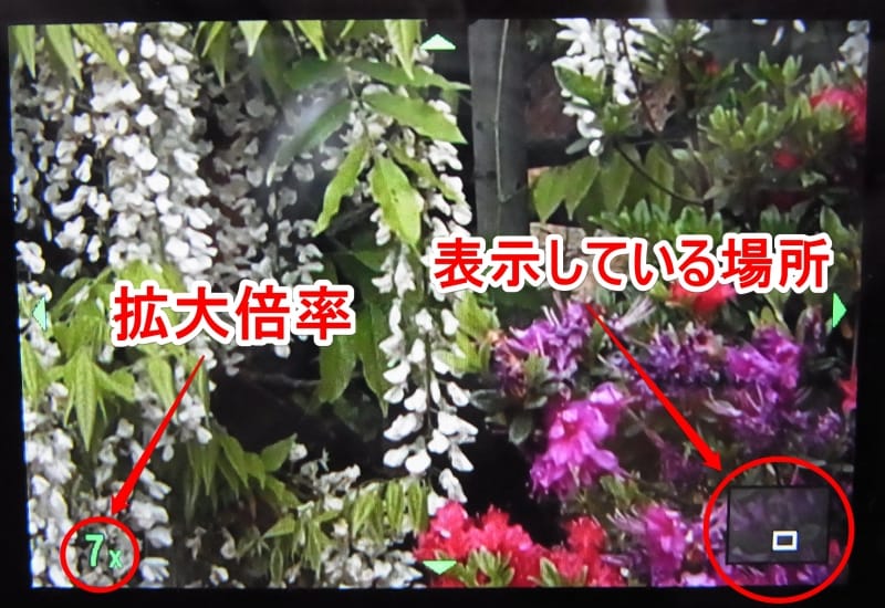 拡大