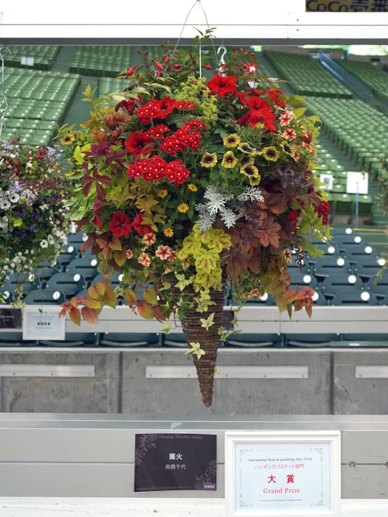 ハンギングバスケット部門大賞「篝火」