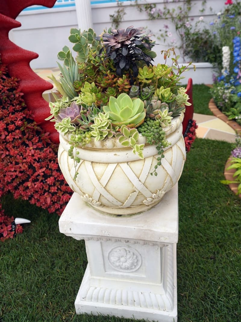 「宮殿の東庭（ワンダーガーデン・作）」より