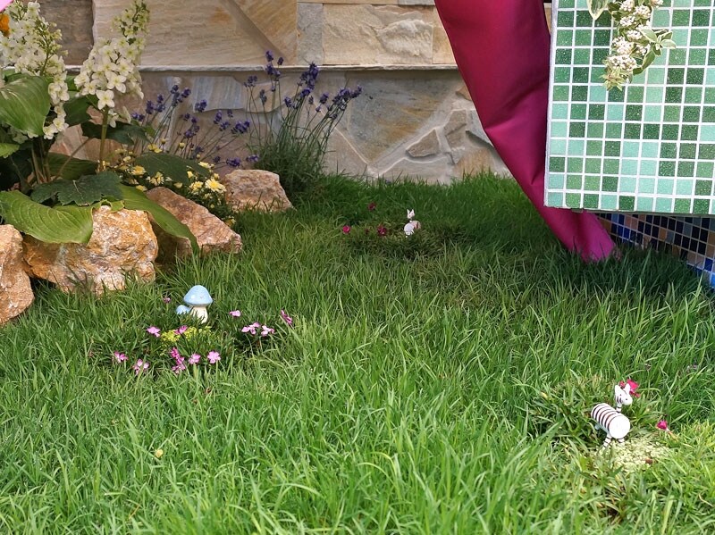 「DREAMS COME TRUE」