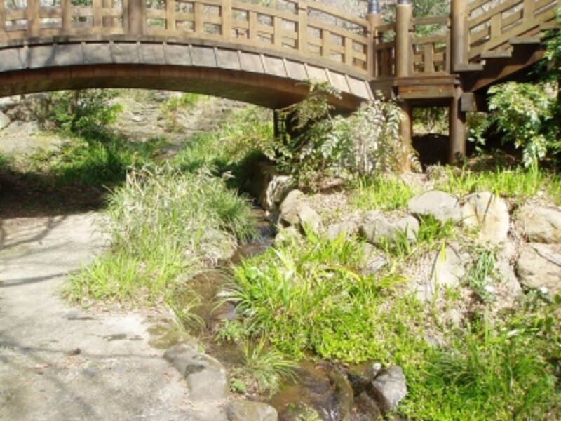 熱海梅園の初川清流