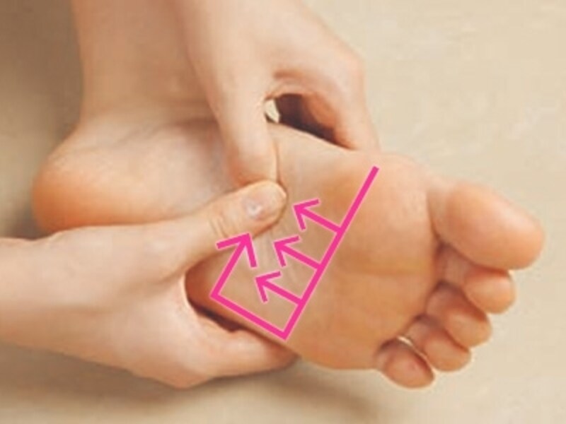 小腸、大腸、栄養の吸収、排泄を司る反射区