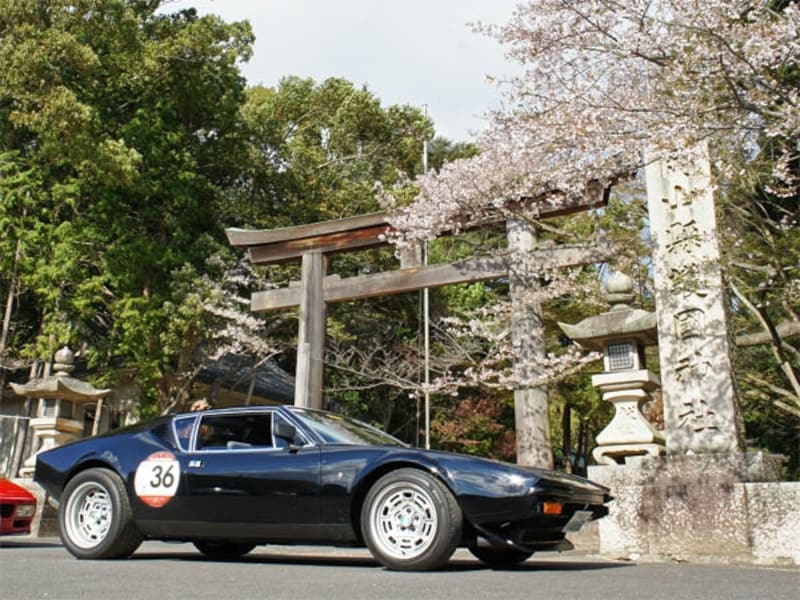 ベッキオバンビーノ2014