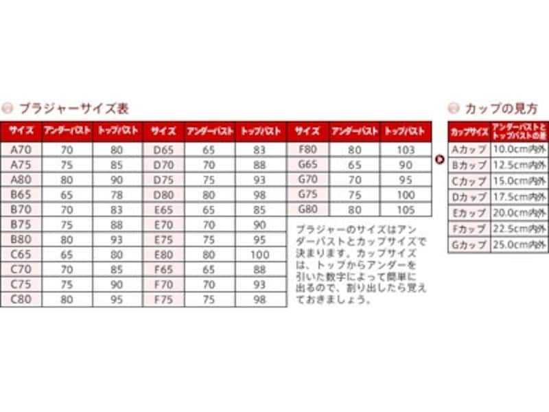 トリンプ・インター・ナショナルよる引用