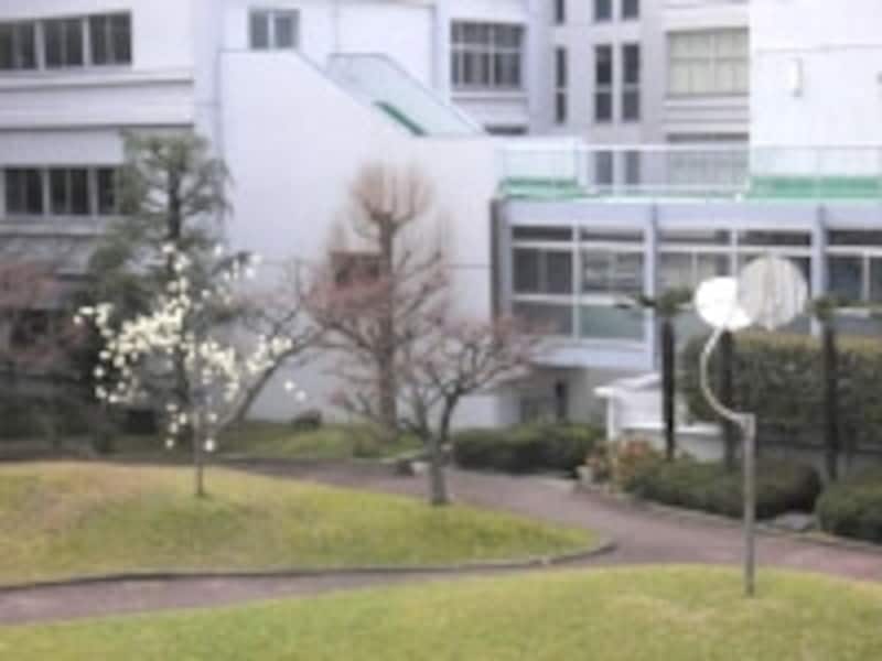 大阪第1学区の人気進学校である豊中高校。「文武両道、さらに学習」を標榜する