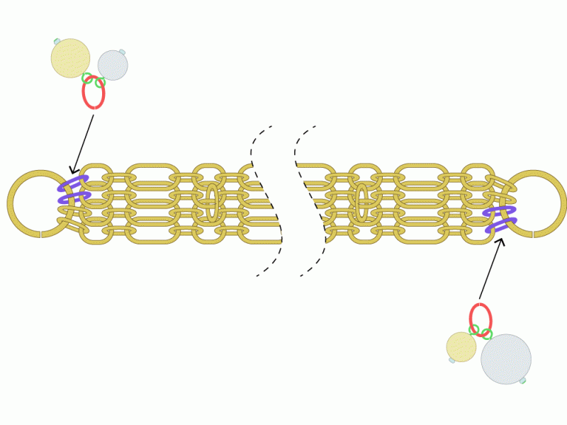 4連チェーンとエアパールの軽量ボリュームブレスレット