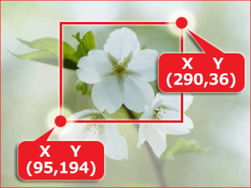 切り抜く範囲の指定(座標)