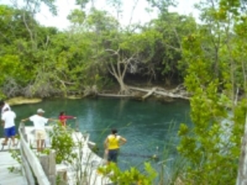 cenote