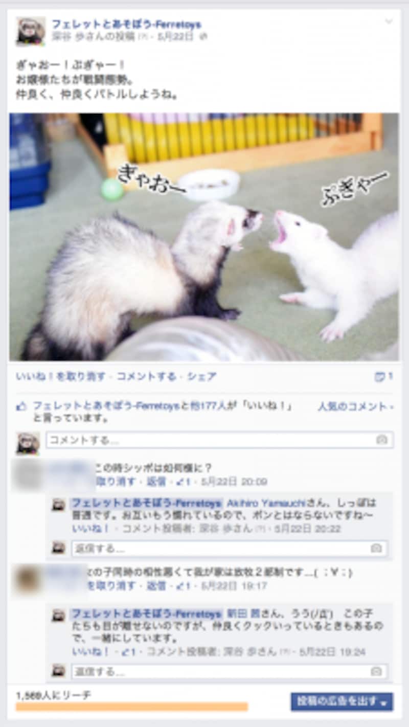 投稿の下にリーチが表示される