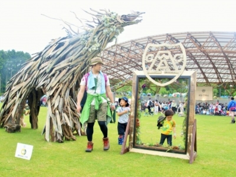 フェス,おすすめ
