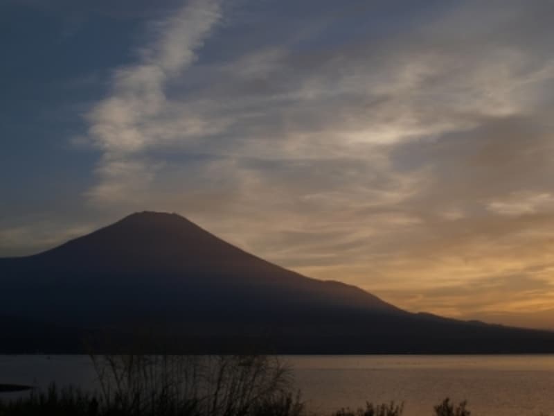 フェス,おすすめ