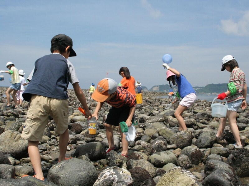 楽しい磯遊びに出かけよう～和賀江島にて
