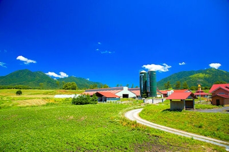蒜山(ひるぜん)高原