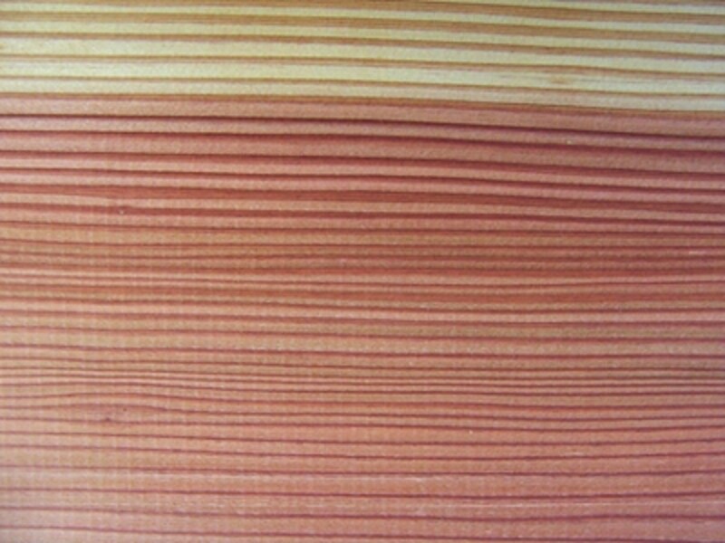 国産杉による家具 初の針葉樹曲げ技術 テーブル 椅子 All About