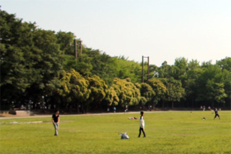 バドミントンを公園で楽しむ