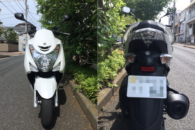 マジェスティS 前後