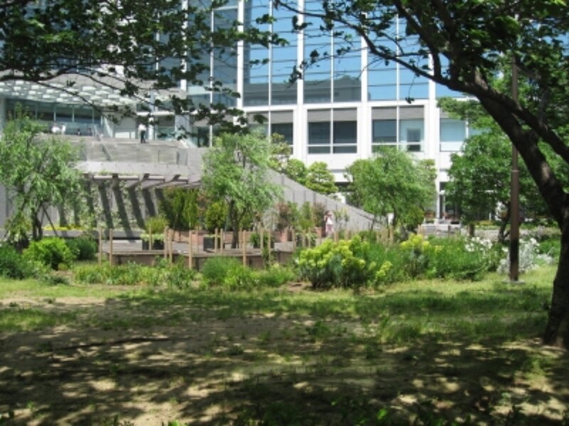 ザ・パークハウス晴海タワーズ ティアロレジデンス