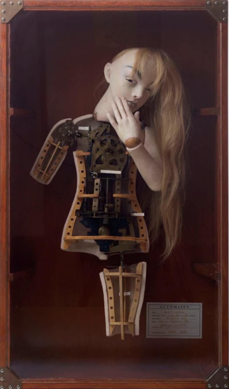 《ドリームドール》(部分)undefined2014年undefined作家蔵