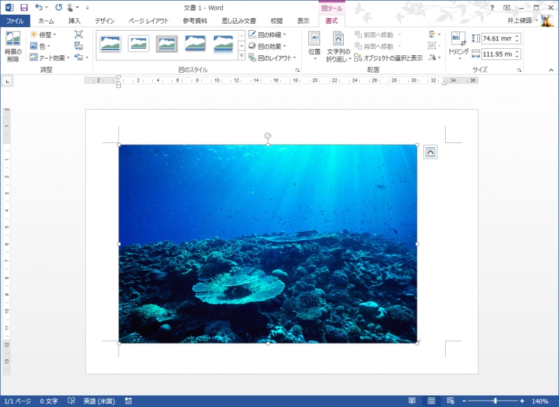 選択した画像が挿入されました
