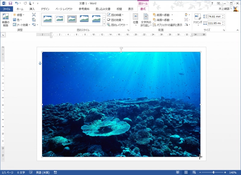 画像の右下をドラッグして画像を拡大します