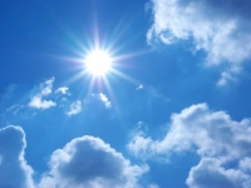 夏の強い陽射し