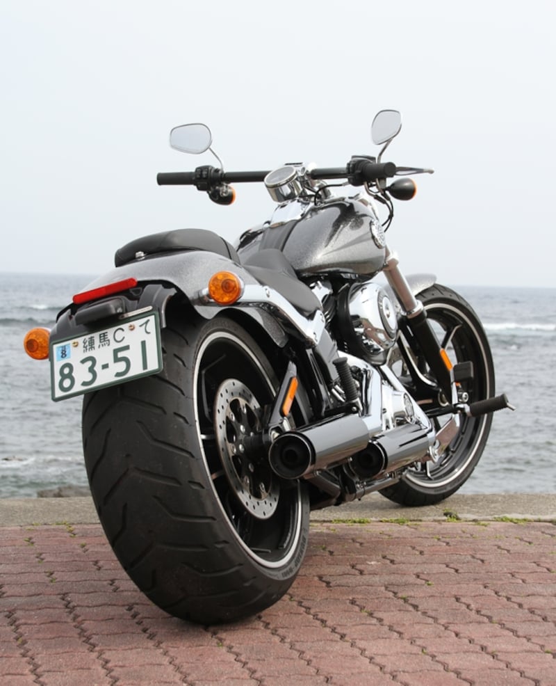 迫力のリアビュー、これもハーレーならでは