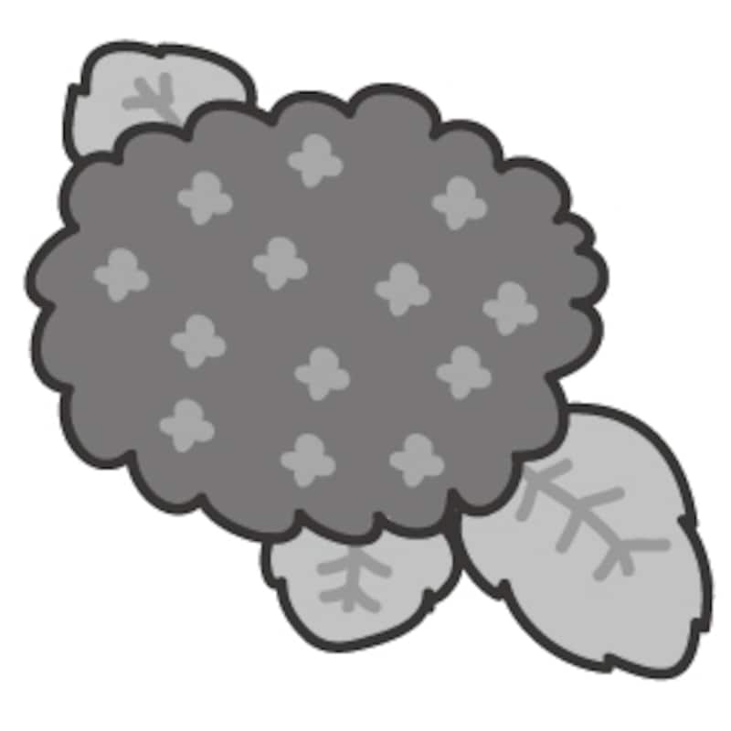 あじさい　梅雨　イラスト　白黒　かわいい