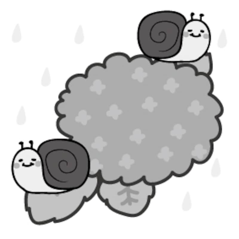 かたつむり　梅雨　イラスト　白黒　かわいい