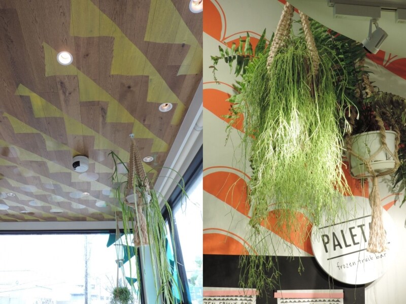 「PALETAS鎌倉店」の内装にはパイナップルの模様(左)、「PALETAS 吉祥寺店」の内装には柑橘の模様(右)が