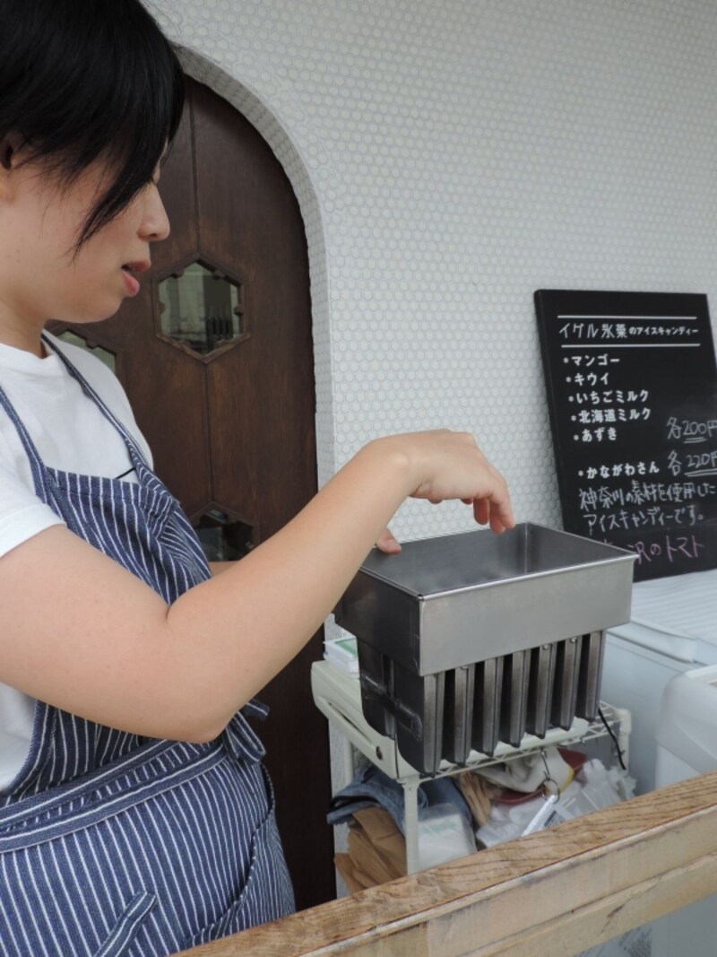 「イグル氷菓」のアイスキャンディー用の型