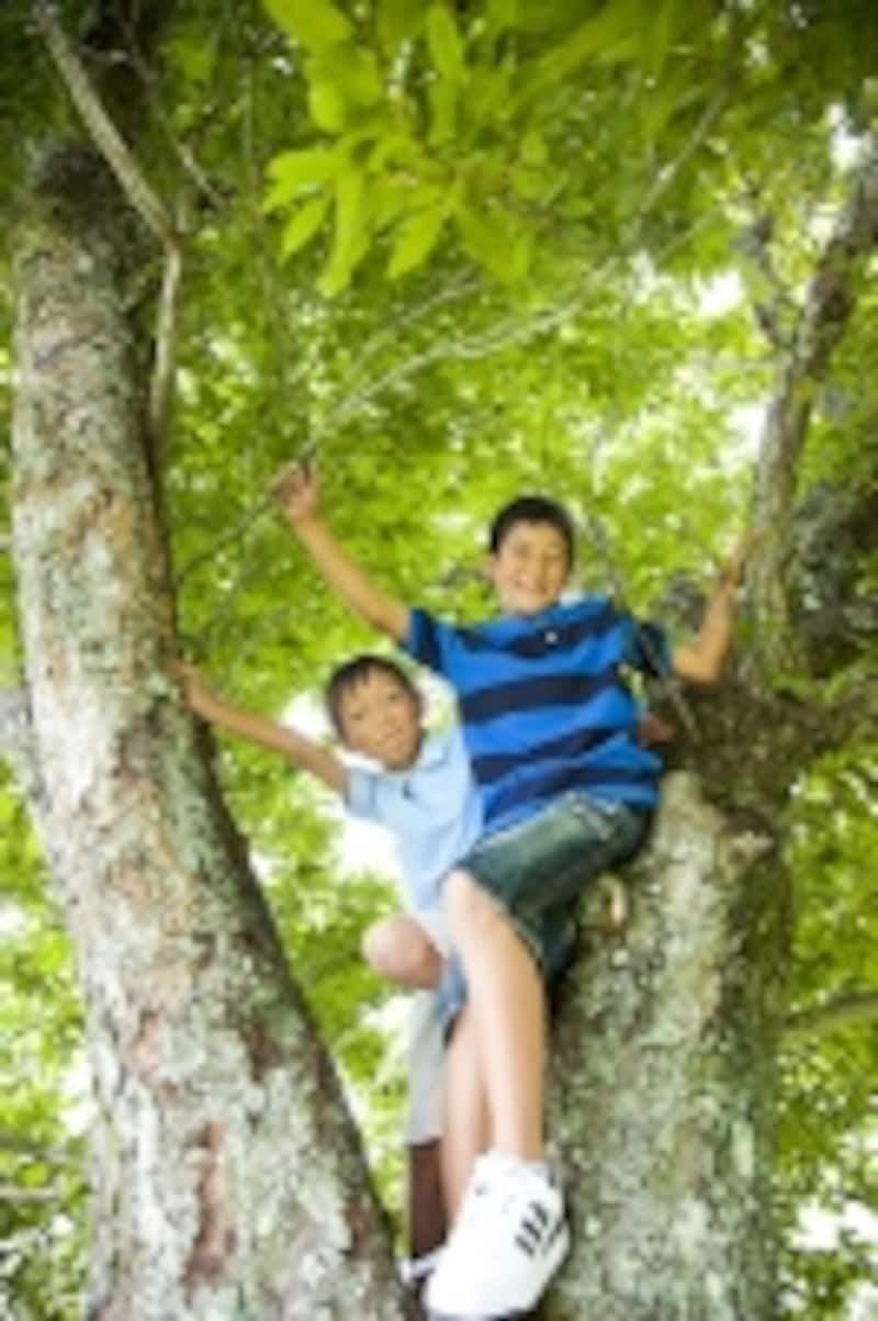 木登りする少年