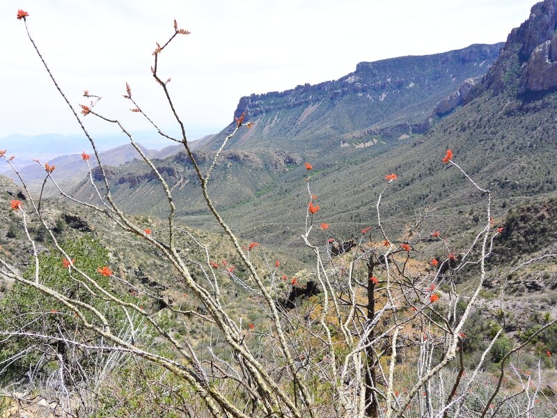 トレッキングで約2時間登った山のてっぺんからの眺め