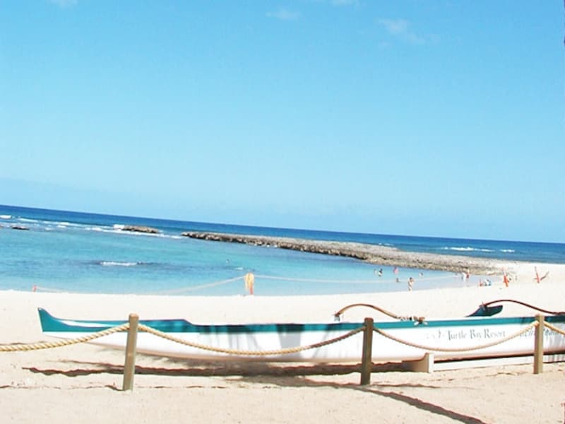 「OLA」とは、ハワイ語で健康や生命を意味する言葉