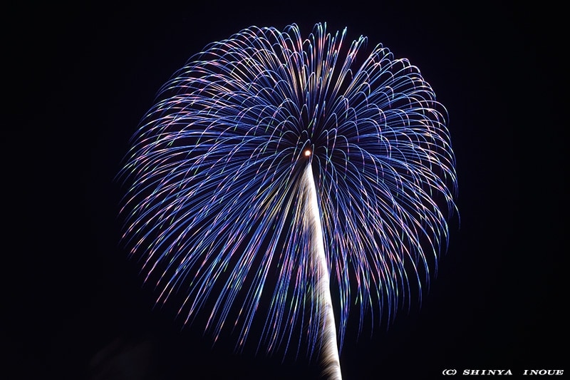 野村ﾏｼﾞｯｸ