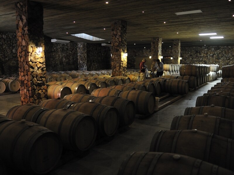 wine1