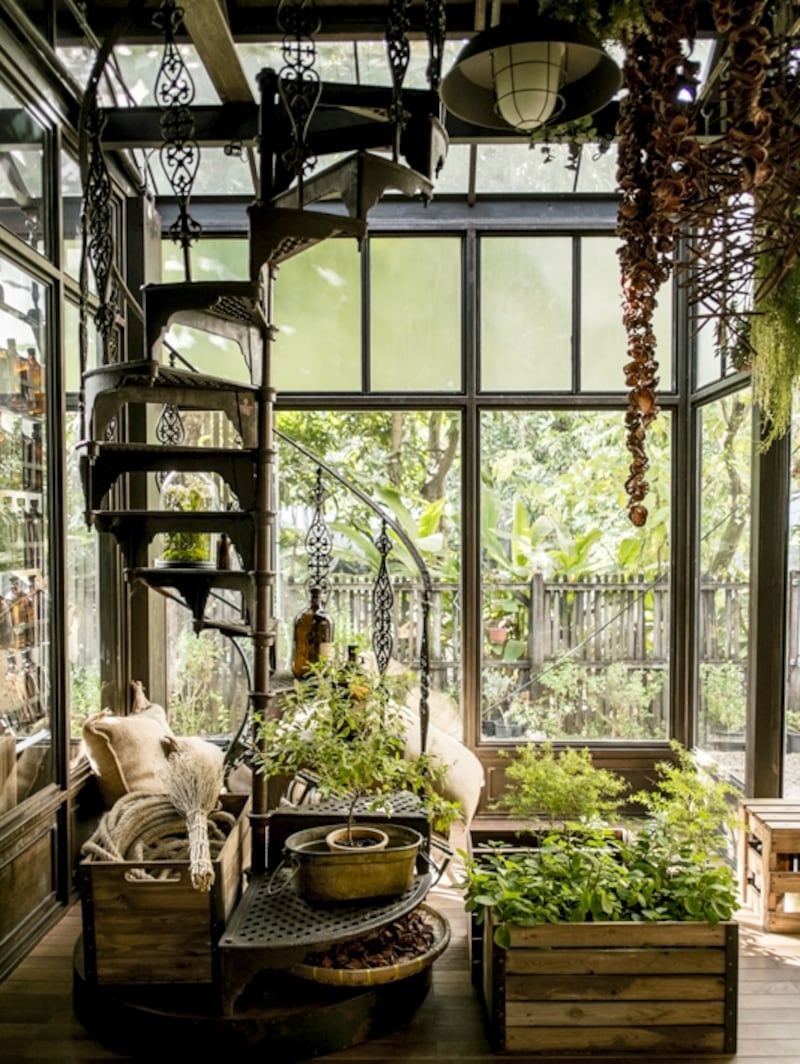 ハーブは料理のアロマに欠かせない