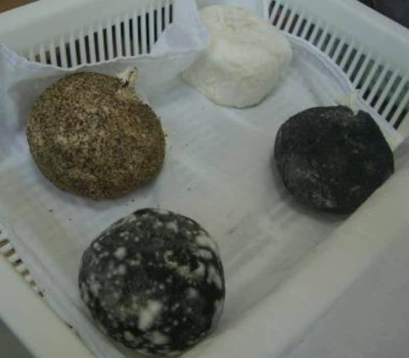 右上：「シェーブル・白カビ」、右下：「シェーブル・灰まぶし」ギャルソンチーズ工房（群馬県）