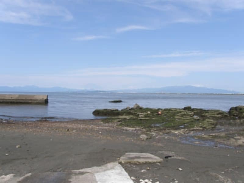江の島西浦の磯