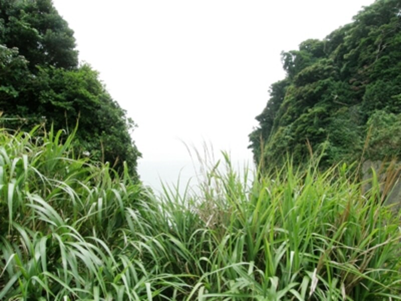 山ふたつの断崖