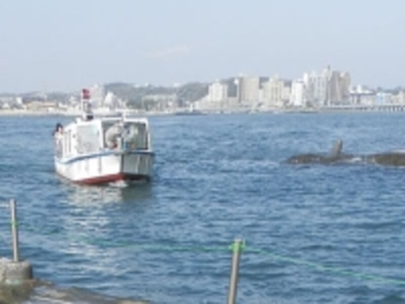 遊覧船「べんてん丸」